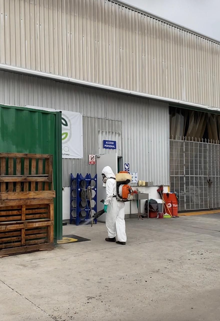 Técnico de FUMYSERV realizando aplicación profesional contra plagas